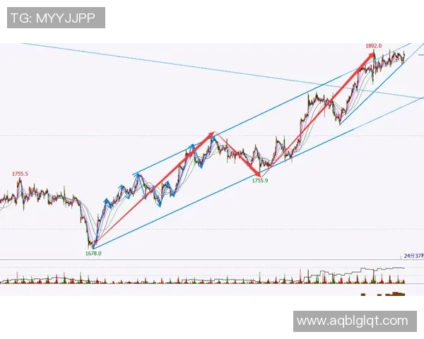 JDG在王者荣耀赛事中的运营策略分析与得失总结