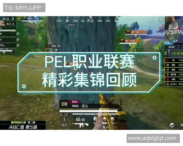 esports最新数据热议和平精英RNG耐力变革对游戏平衡与竞技性的深远影响